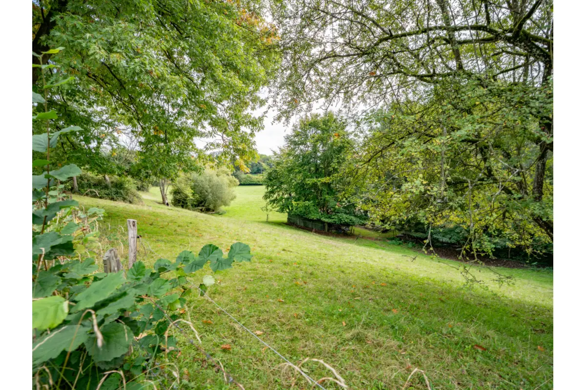 Terrain à vendre à Ferrières 4190 60000.00€  chambres m² - annonce 614732