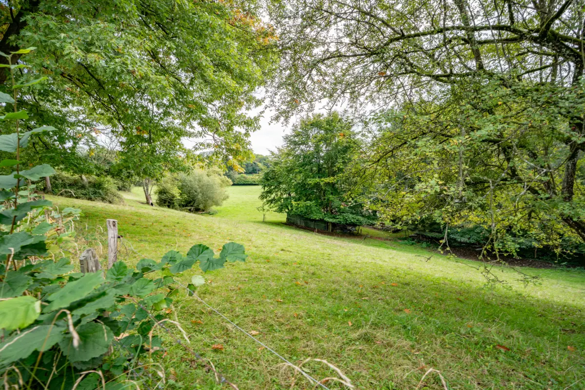 Terrain à vendre à Ferrières 4190 60000.00€  chambres m² - annonce 614732