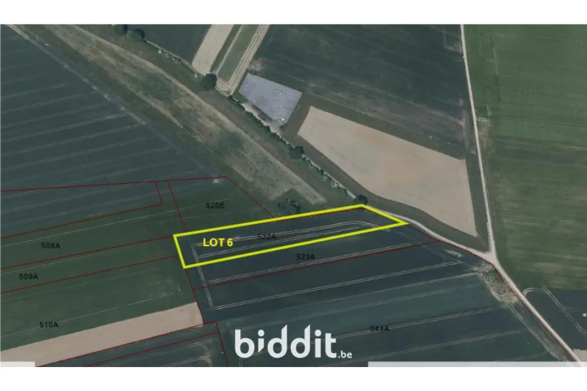 Terrain à vendre à Oreye 4360 11500.00€  chambres m² - annonce 619710