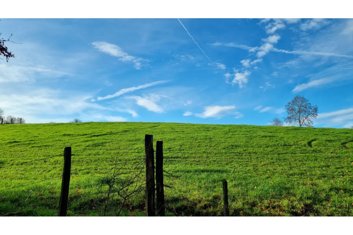 Terrain à vendre à Waimes 4950 124000.00€  chambres m² - annonce 623648