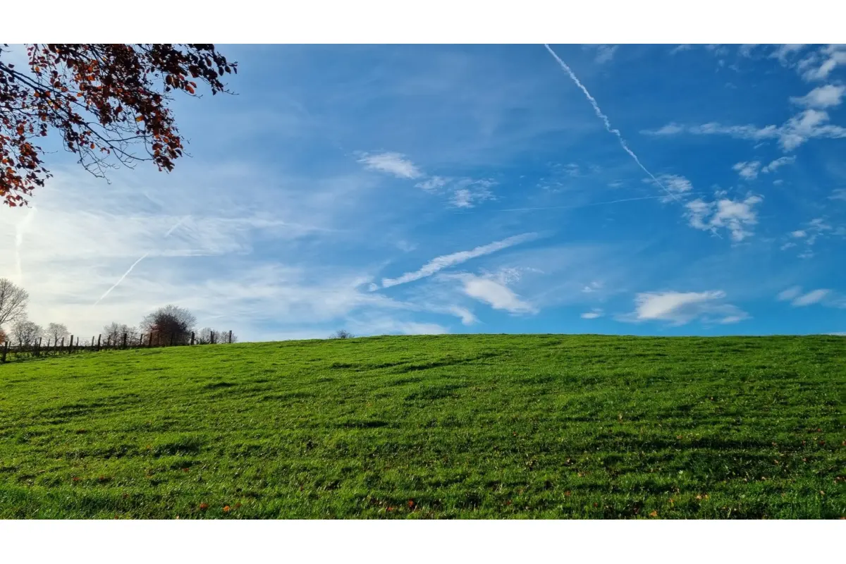 Terrain à vendre à Waimes 4950 114000.00€  chambres m² - annonce 623648
