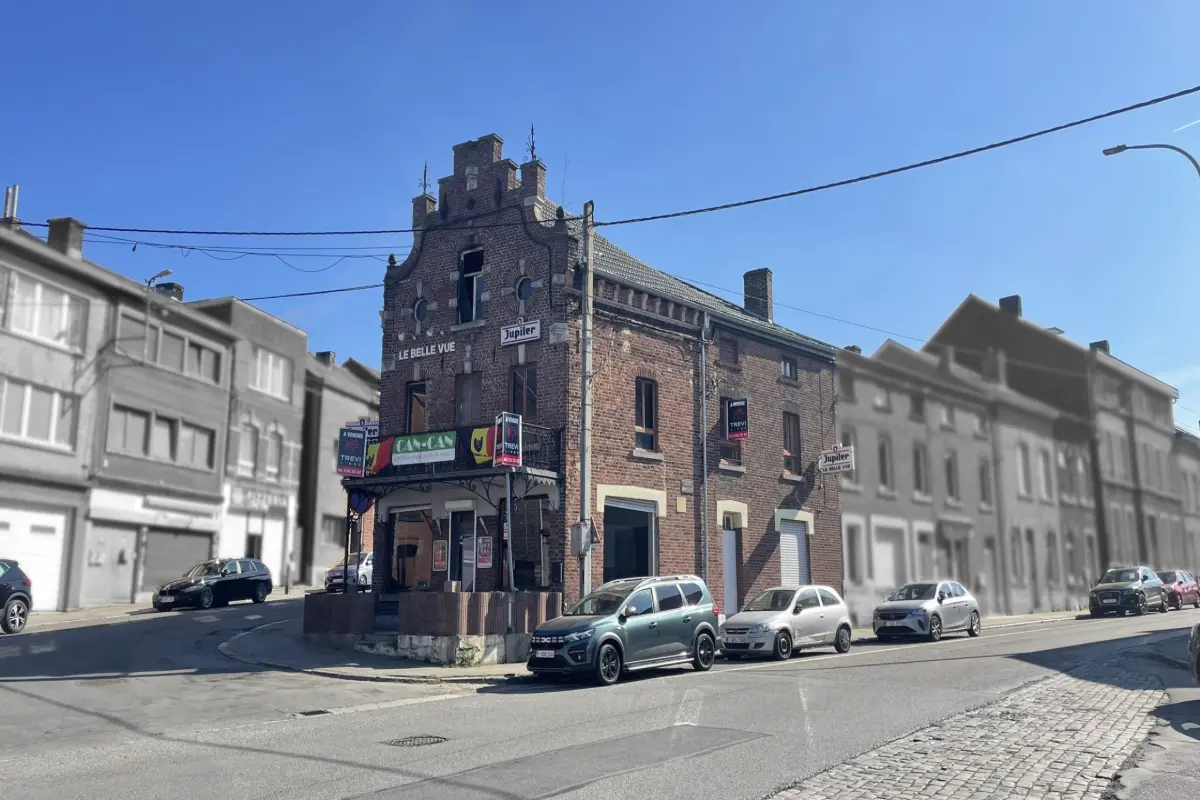 Immeuble mixte à vendre à Seraing 4100 155000.00€ 2 chambres 185.00m² - annonce 625214