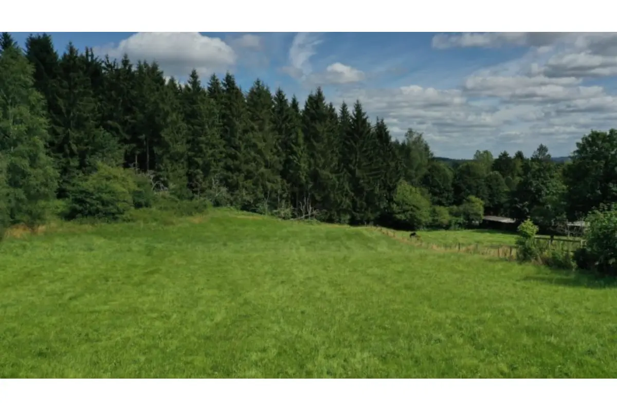 Terrain à vendre à Bullange 4760 160000.00€  chambres m² - annonce 625571