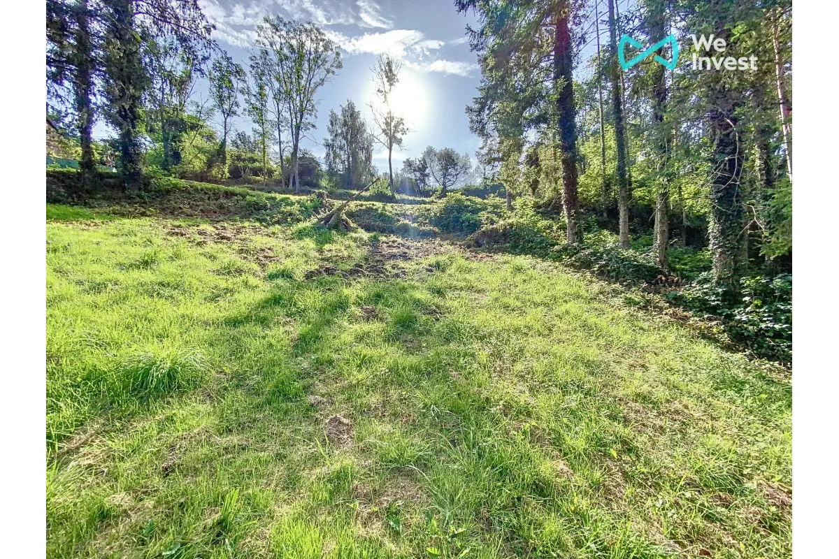 Terrain à vendre à Sougné-Remouchamps 4920 79000.00€  chambres m² - annonce 626398