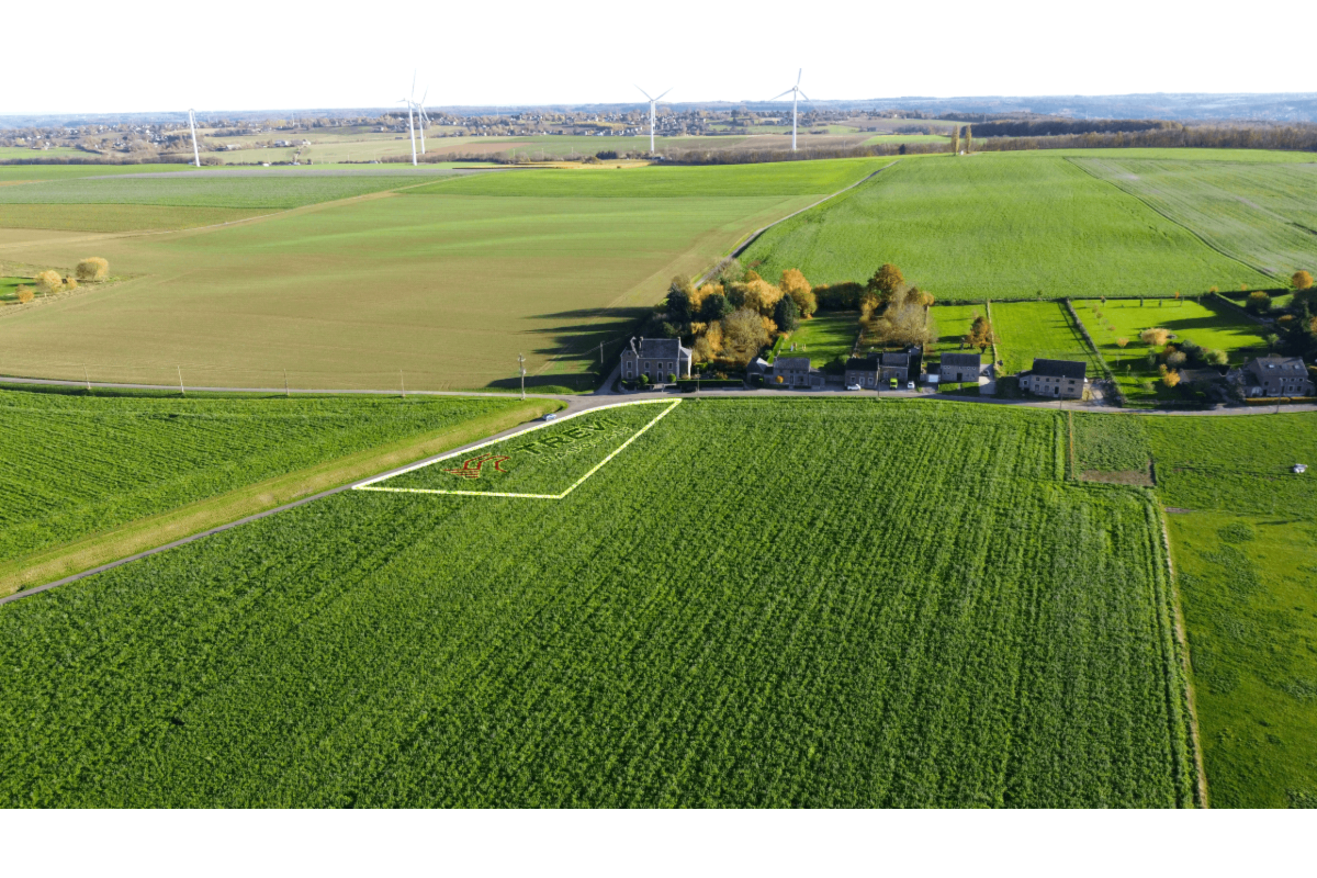 Terrain à vendre à Héron 4217 145000.00€  chambres m² - annonce 631132