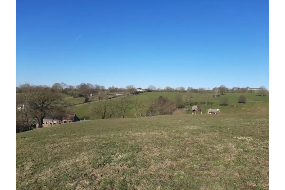 Terrain à vendre à Thimister-Clermont 4890 179000.00€  chambres m² - annonce 632519