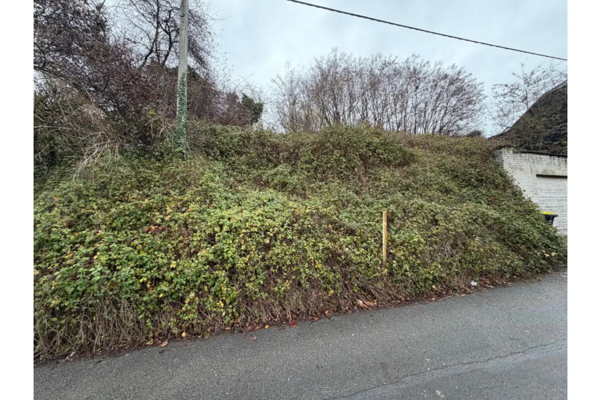 Terrain à vendre à Amay 4540 60000.00€  chambres m² - annonce 637204