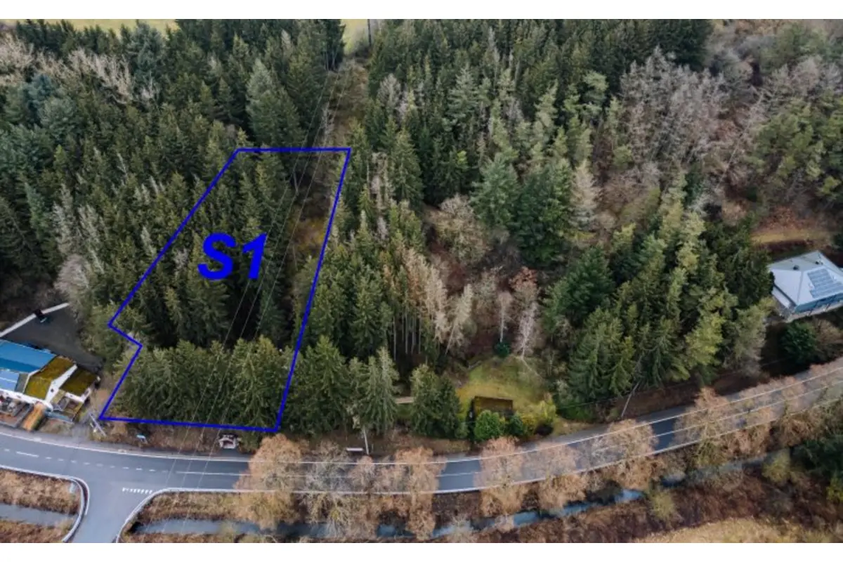 Terrain à vendre à Burg-Reuland 4790 85000.00€  chambres m² - annonce 640126