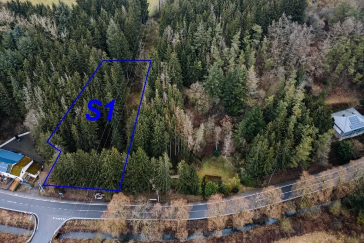 Terrain à vendre à Burg-Reuland 4790 85000.00€  chambres m² - annonce 640126