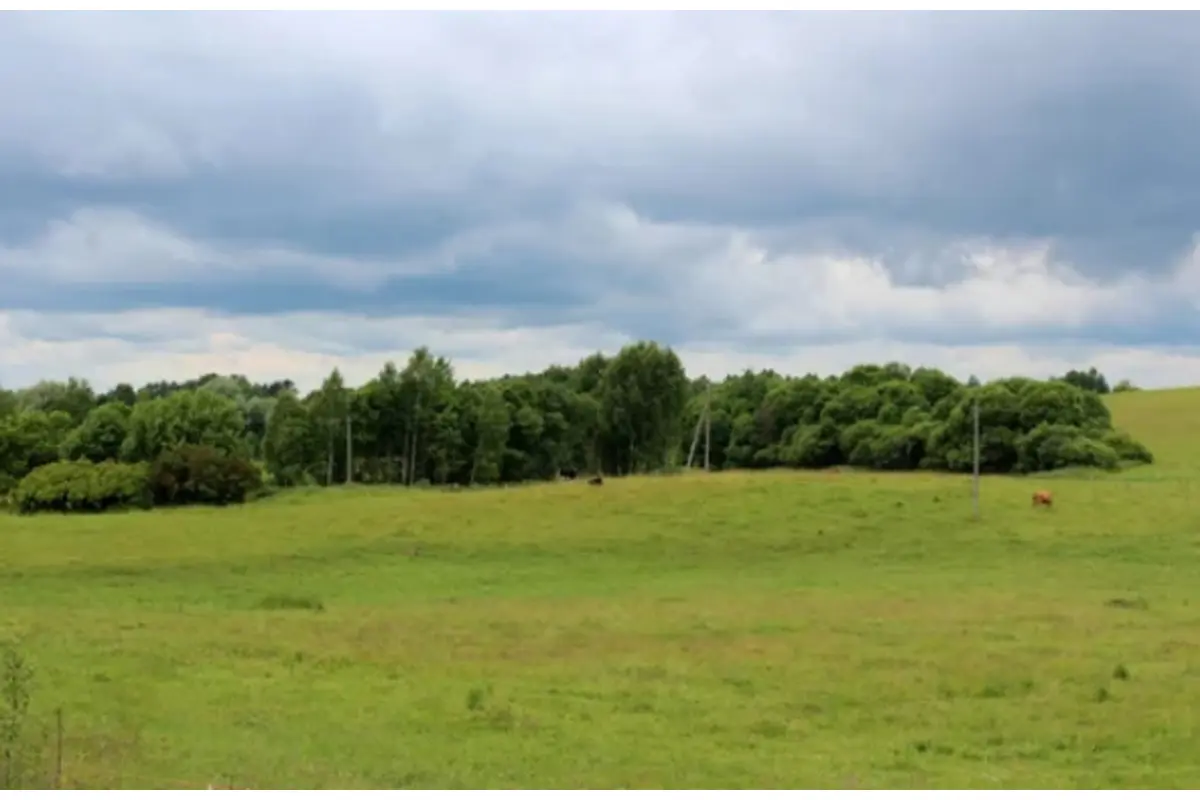 Terrain à vendre à Theux 4910 275000.00€  chambres m² - annonce 644744