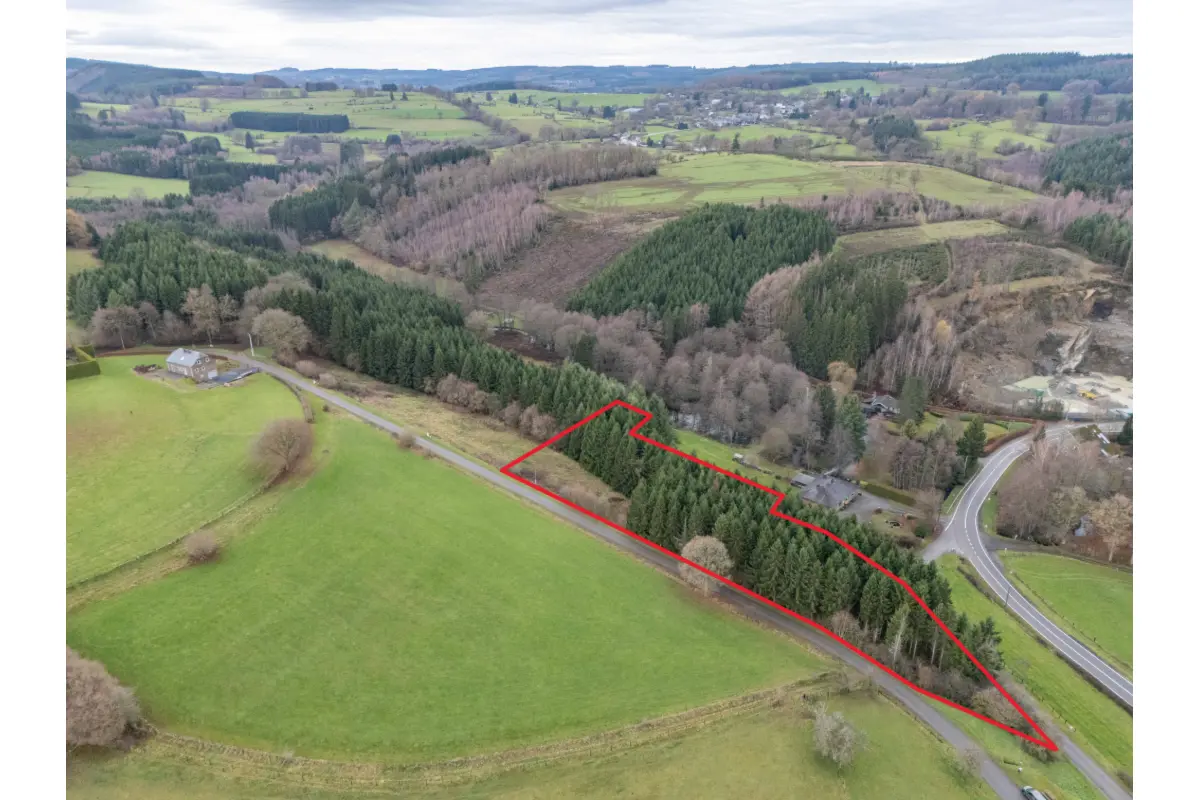 Terrain à vendre à Lierneux 4990 135000.00€  chambres m² - annonce 648506