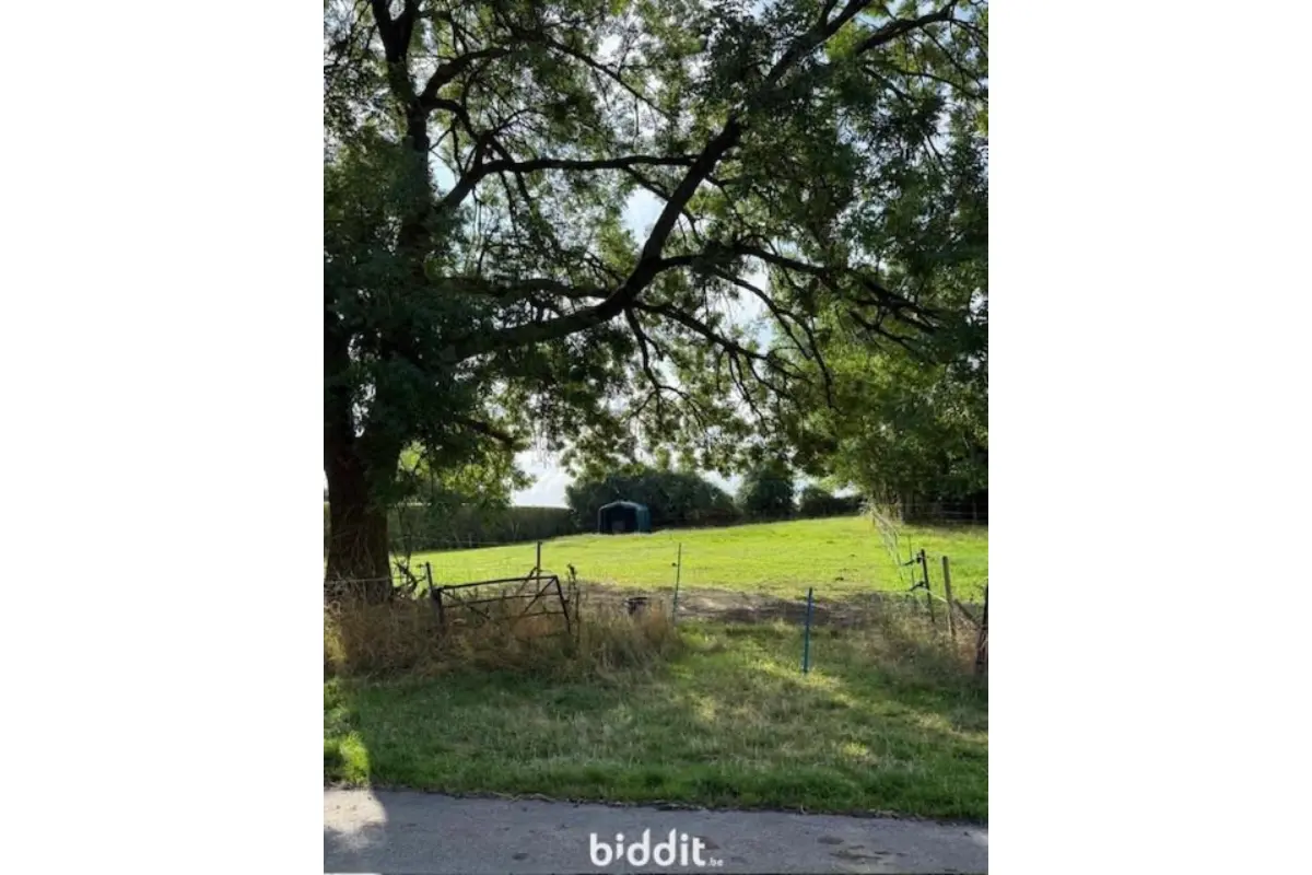 Terrain à vendre à Hannut 4280 70000.00€  chambres m² - annonce 649920