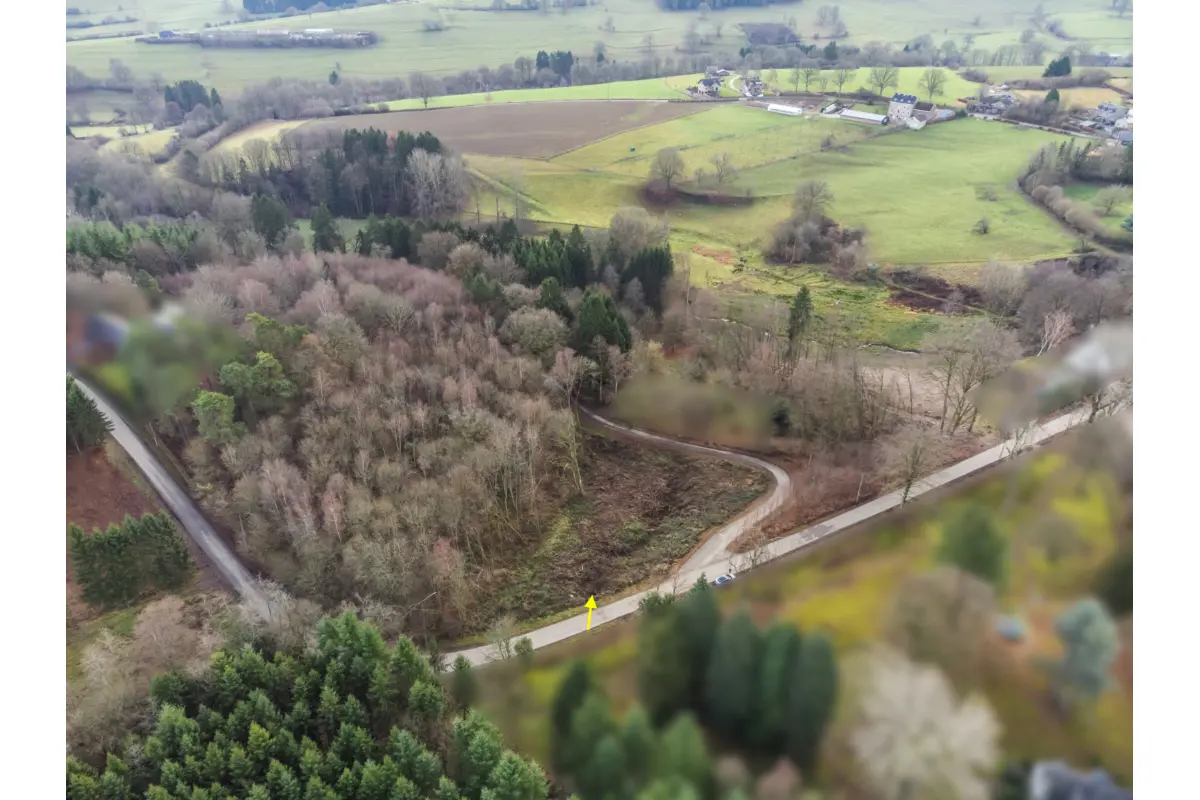 Terrain à vendre à Basse-Bodeux 4983 90000.00€  chambres m² - annonce 650615