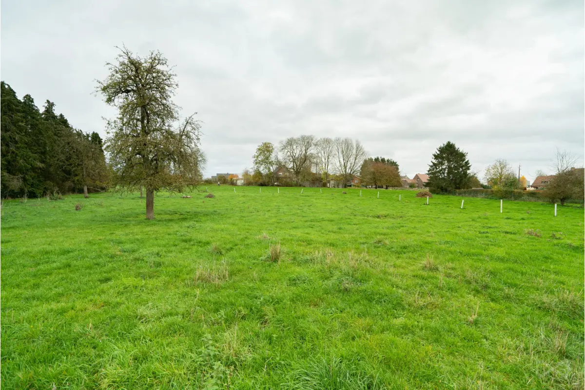 Terrain à vendre à Hannut 4280 130000.00€  chambres m² - annonce 651273