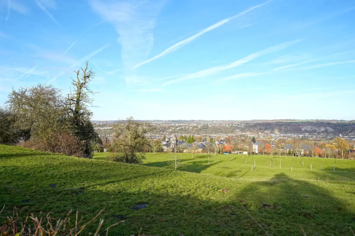 Terrain à vendre à Huy 4500 110000.00€  chambres m² - annonce 651925