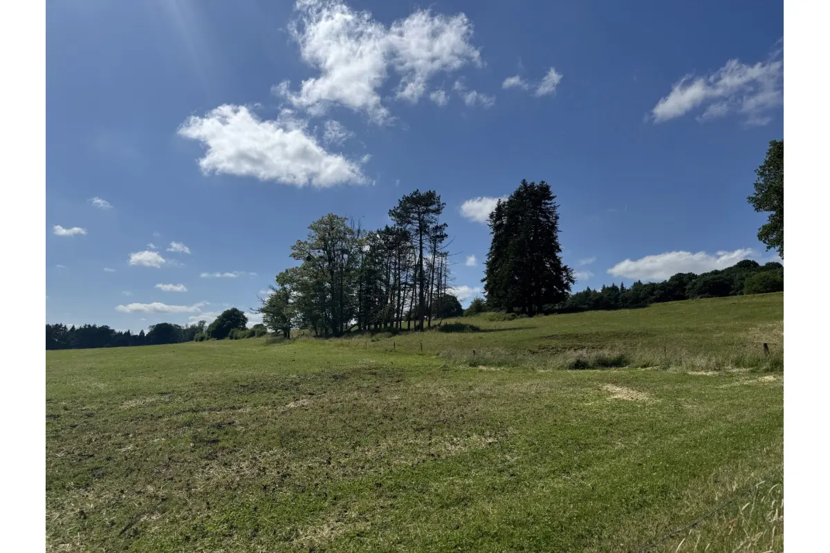 Terrain à vendre à Neupré 4120 55000.00€  chambres m² - annonce 651867