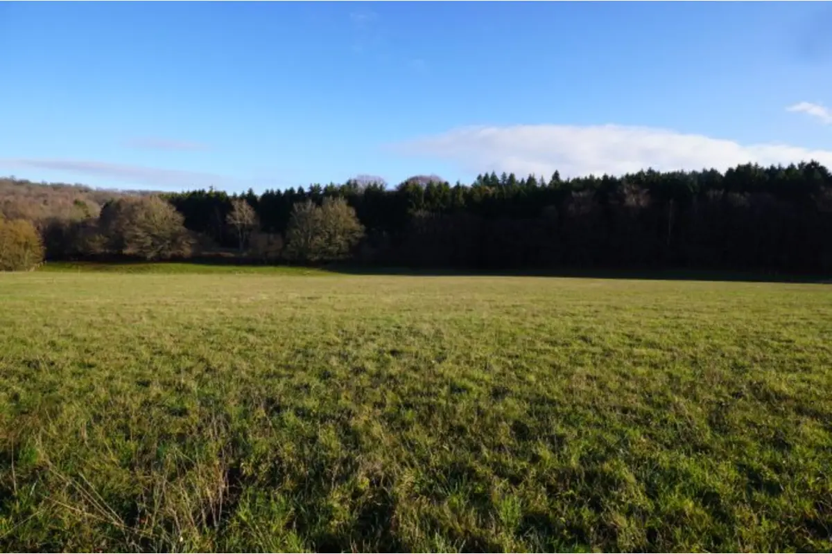 Terrain à vendre à Gemmenich 4851 150000.00€  chambres m² - annonce 655271