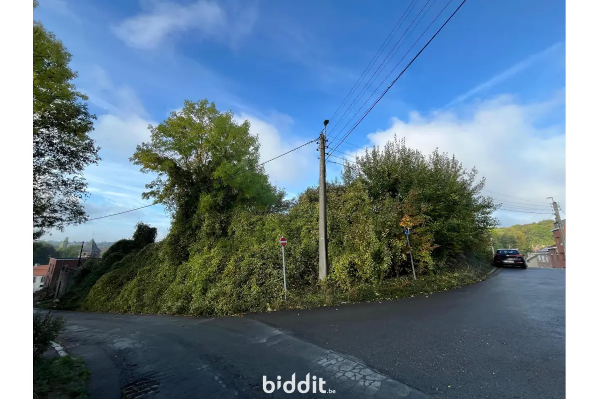 Terrain à vendre à Grâce-Hollogne 4460 35000.00€  chambres m² - annonce 658506