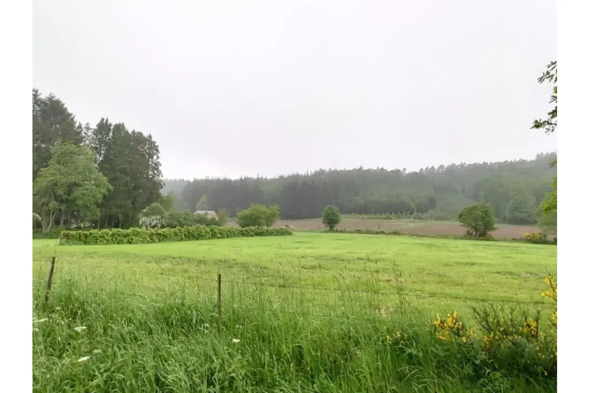 Terrain à vendre à Chevron 4987 115000.00€  chambres m² - annonce 662070