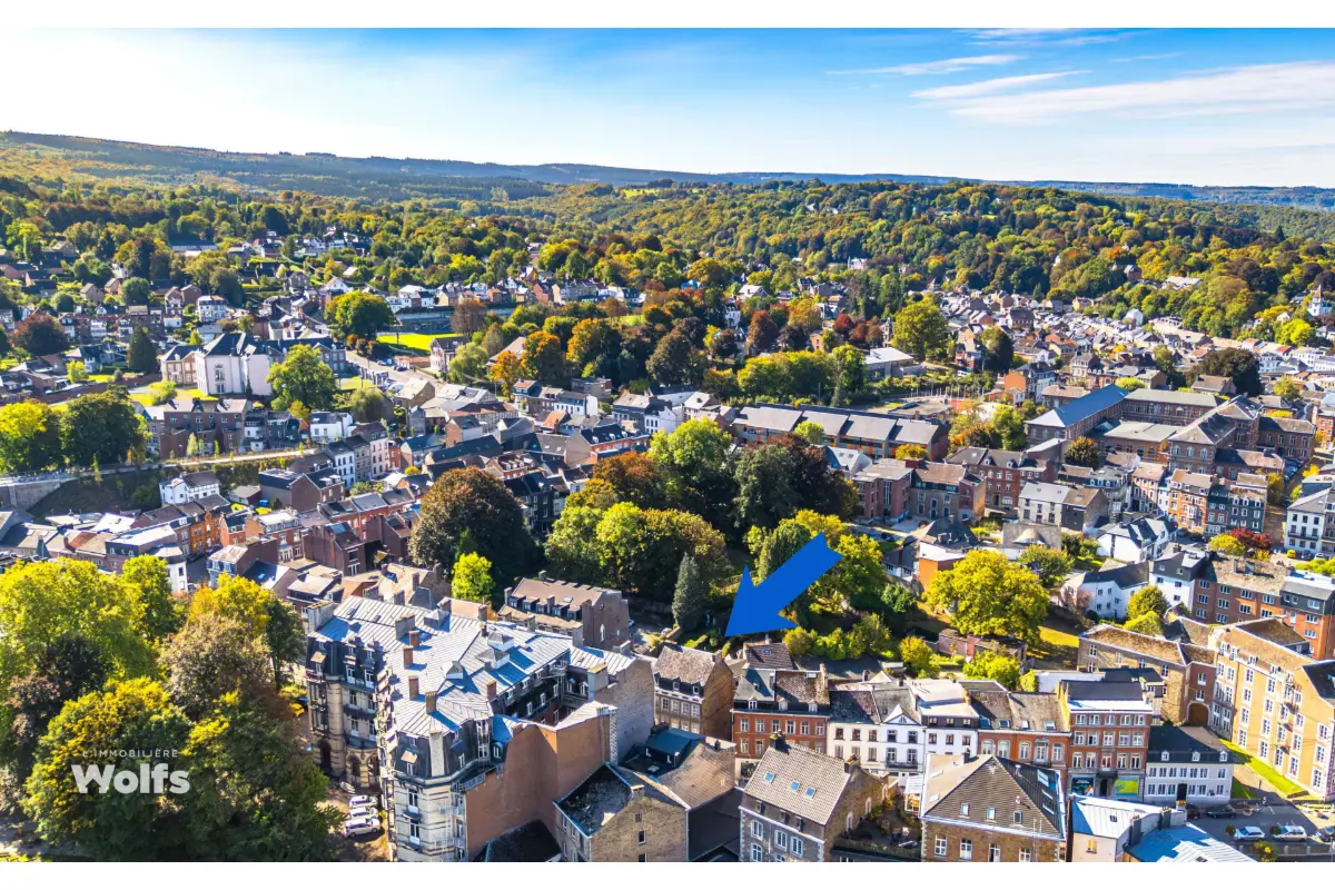 Commerce à vendre à Spa 4900 459000.00€  chambres 352.00m² - annonce 668077