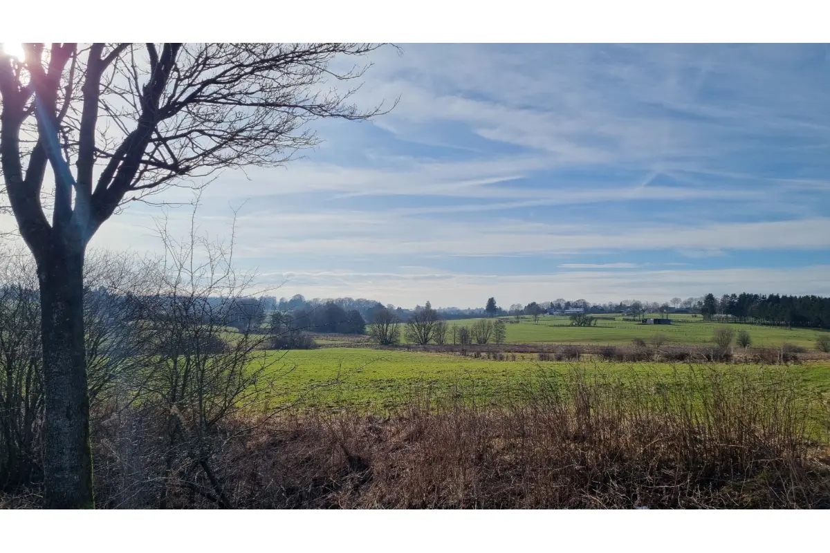 Terrain non bâtissable à vendre à Bullange 4760 45500.00€  chambres m² - annonce 673878