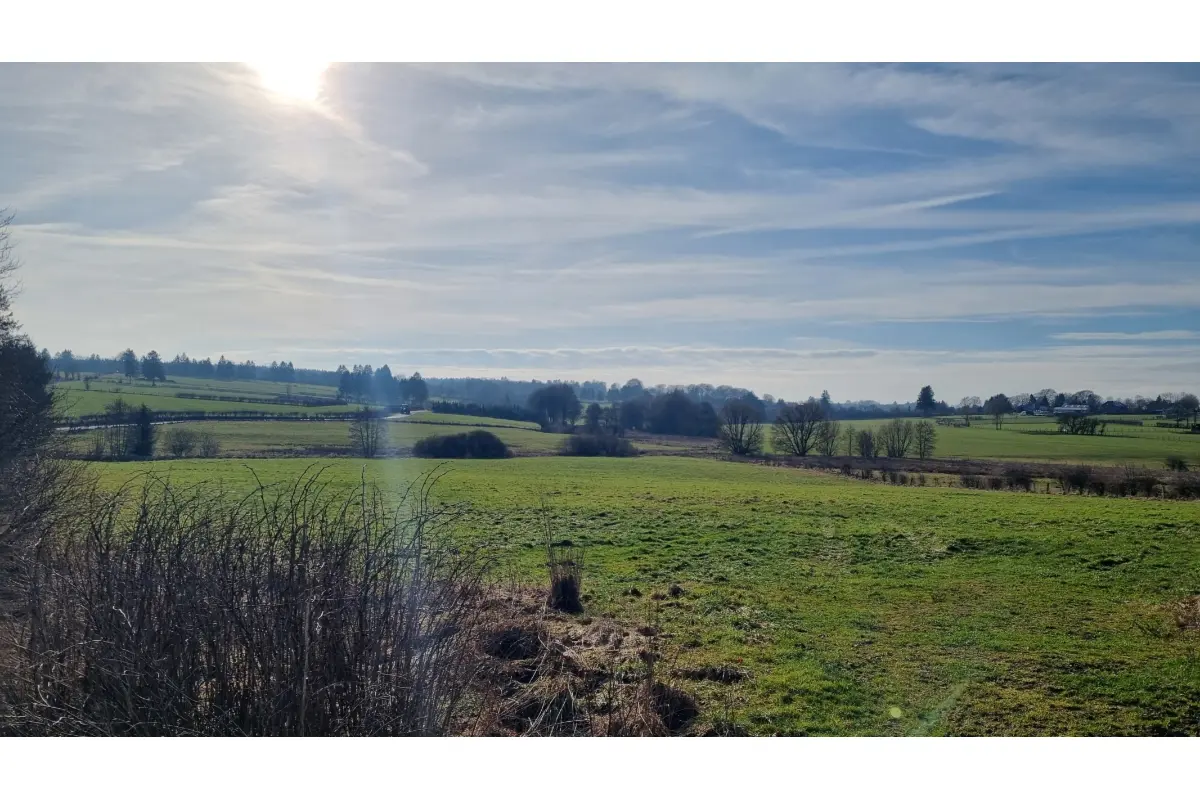 Terrain à vendre à Bullange 4760 47000.00€  chambres m² - annonce 673878