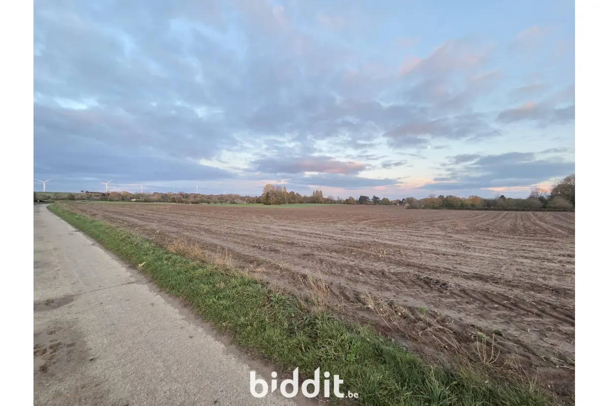 Terrain à vendre à Ciplet 4260 240000.00€  chambres m² - annonce 675425