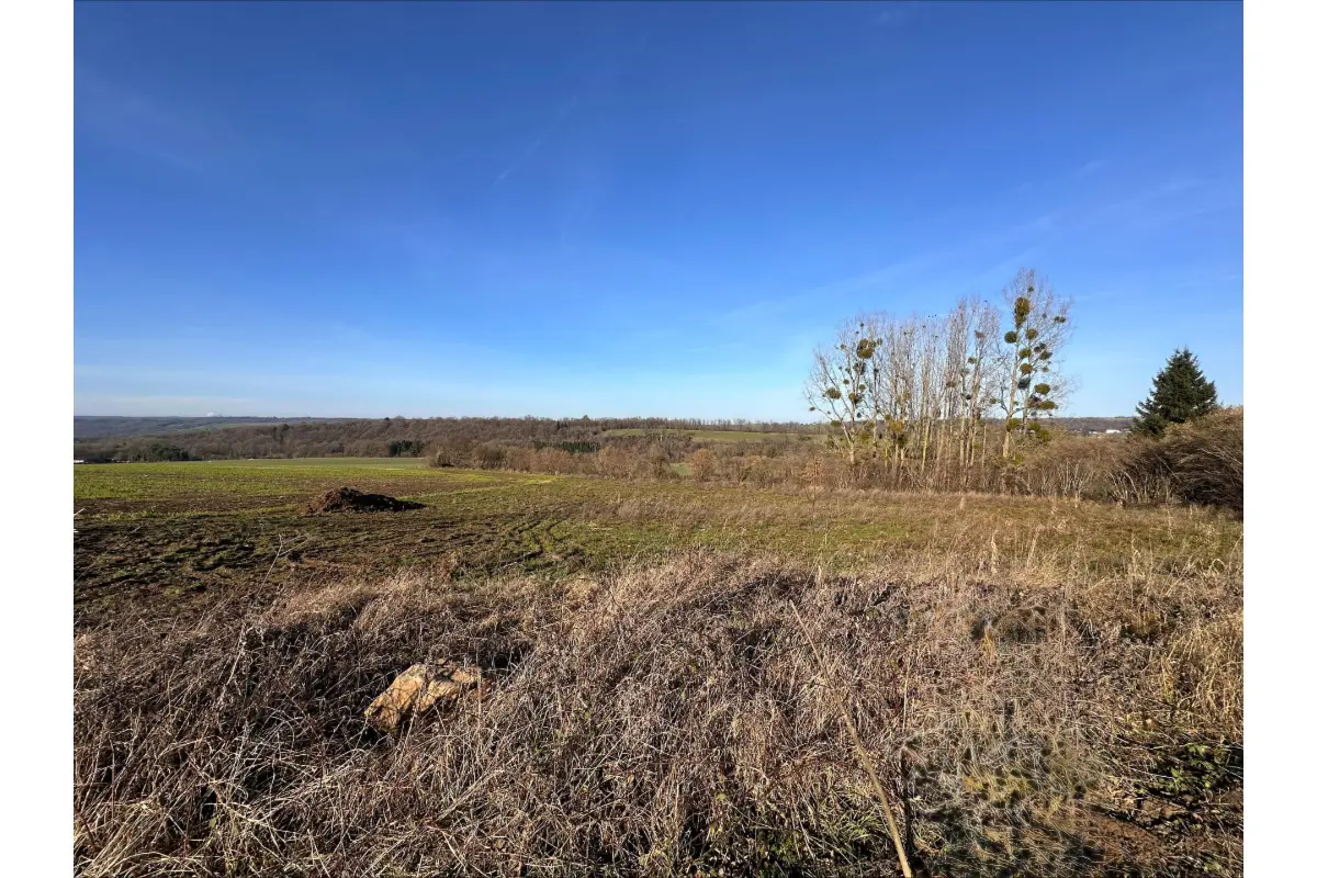 Terrain à vendre à Ferrières 4190 79000.00€  chambres m² - annonce 676226