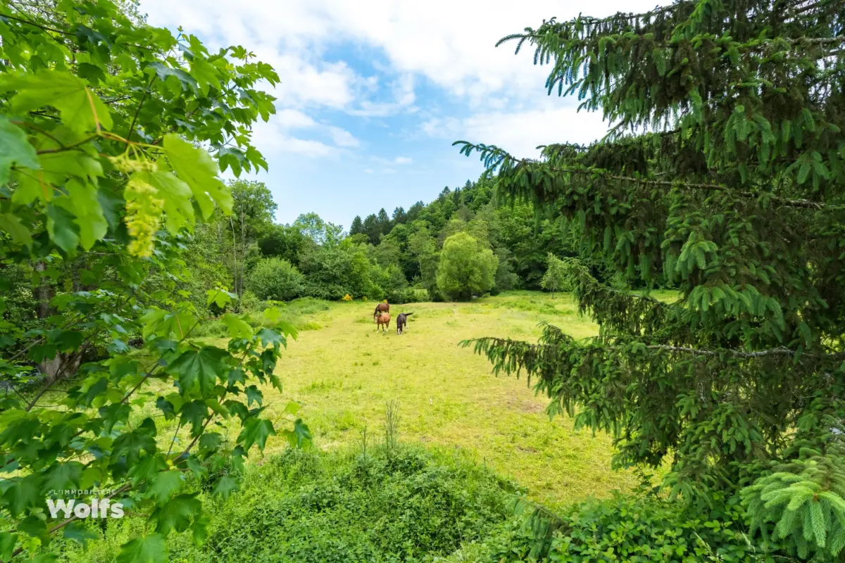 Terrain à vendre à Lierneux 4990 125000.00€  chambres m² - annonce 682273