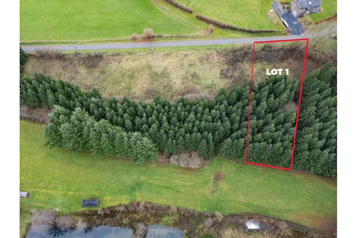 Terrain à bâtir à vendre à Lierneux 4990 99000.00€  chambres m² - annonce 689618