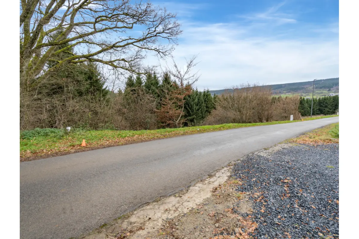 Terrain à vendre à Lierneux 4990 99000.00€  chambres m² - annonce 689618