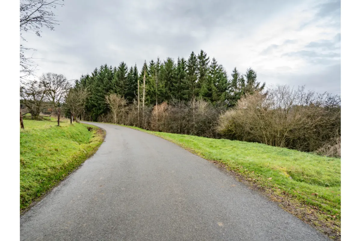 Terrain à vendre à Lierneux 4990 79000.00€  chambres m² - annonce 691168
