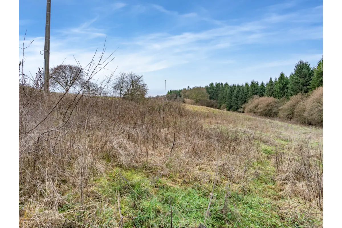 Terrain à vendre à Lierneux 4990 135000.00€  chambres m² - annonce 692299