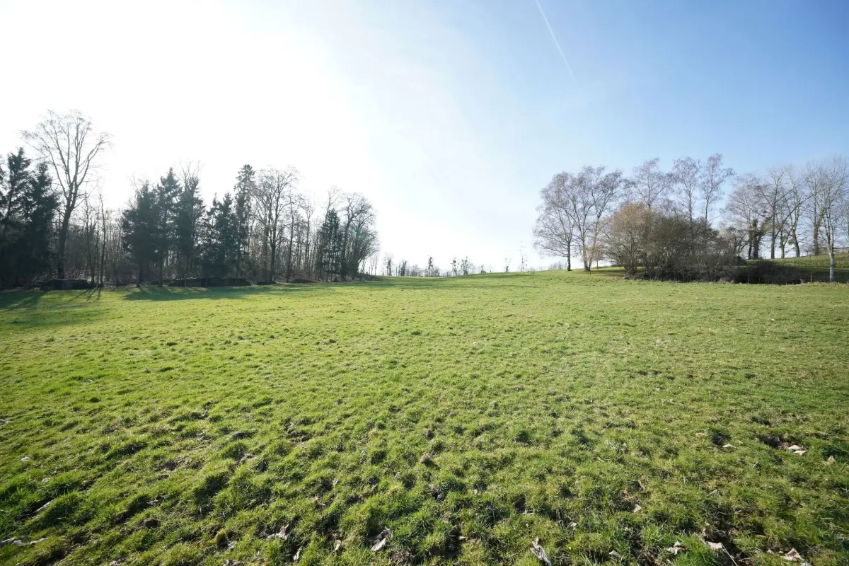 Terrain à vendre à Marchin 4570 125000.00€  chambres m² - annonce 694918