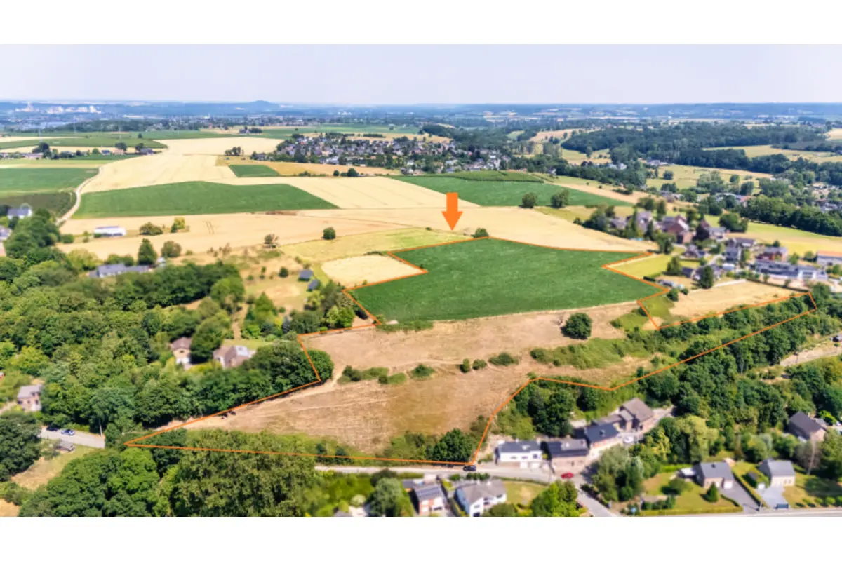 Terrain à bâtir à vendre à Dalhem 4607 700000.00€  chambres m² - annonce 698780