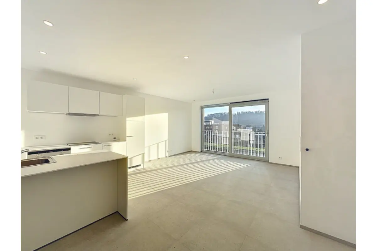 Appartement à louer à Hermalle-sous-Argenteau 4681 820.00€ 1 chambres 50.00m² - annonce 704106