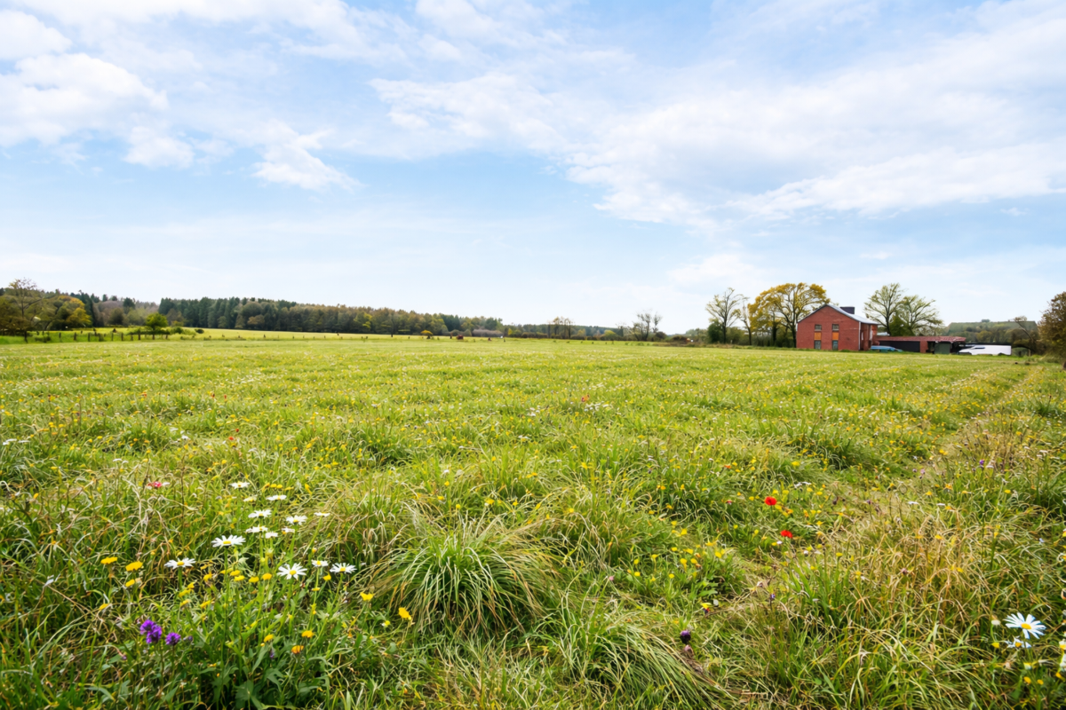 Terrain à vendre à Ferrières 4190 110000.00€  chambres m² - annonce 717639