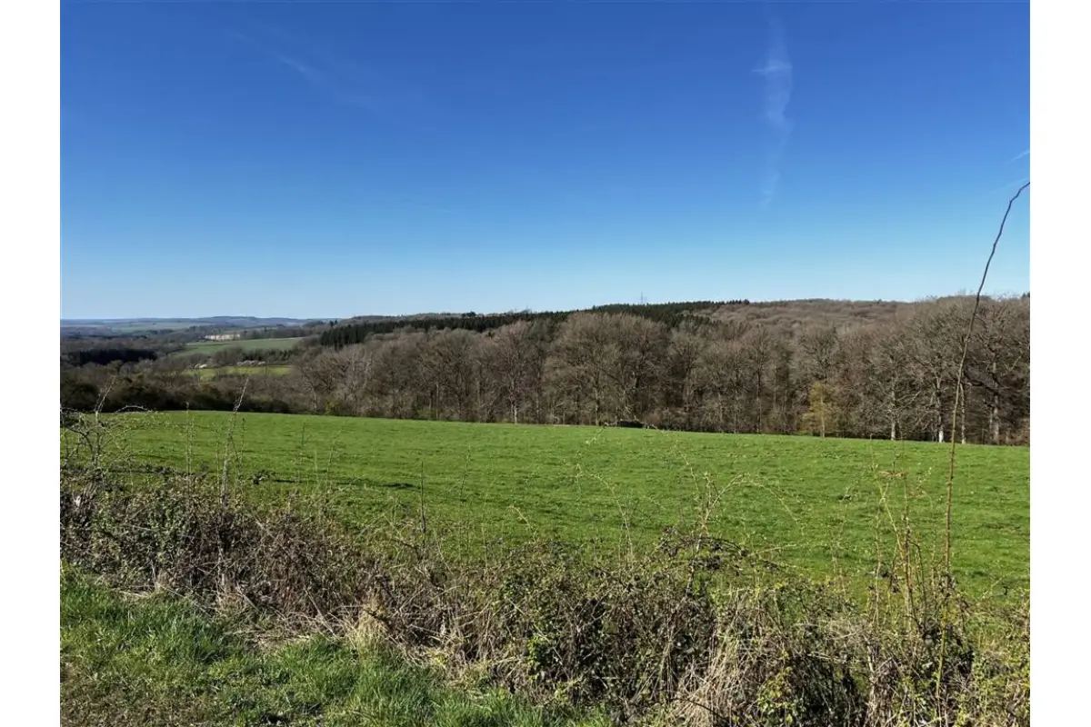 Terrain à vendre à Ferrières 4190 115000.00€  chambres m² - annonce 719507