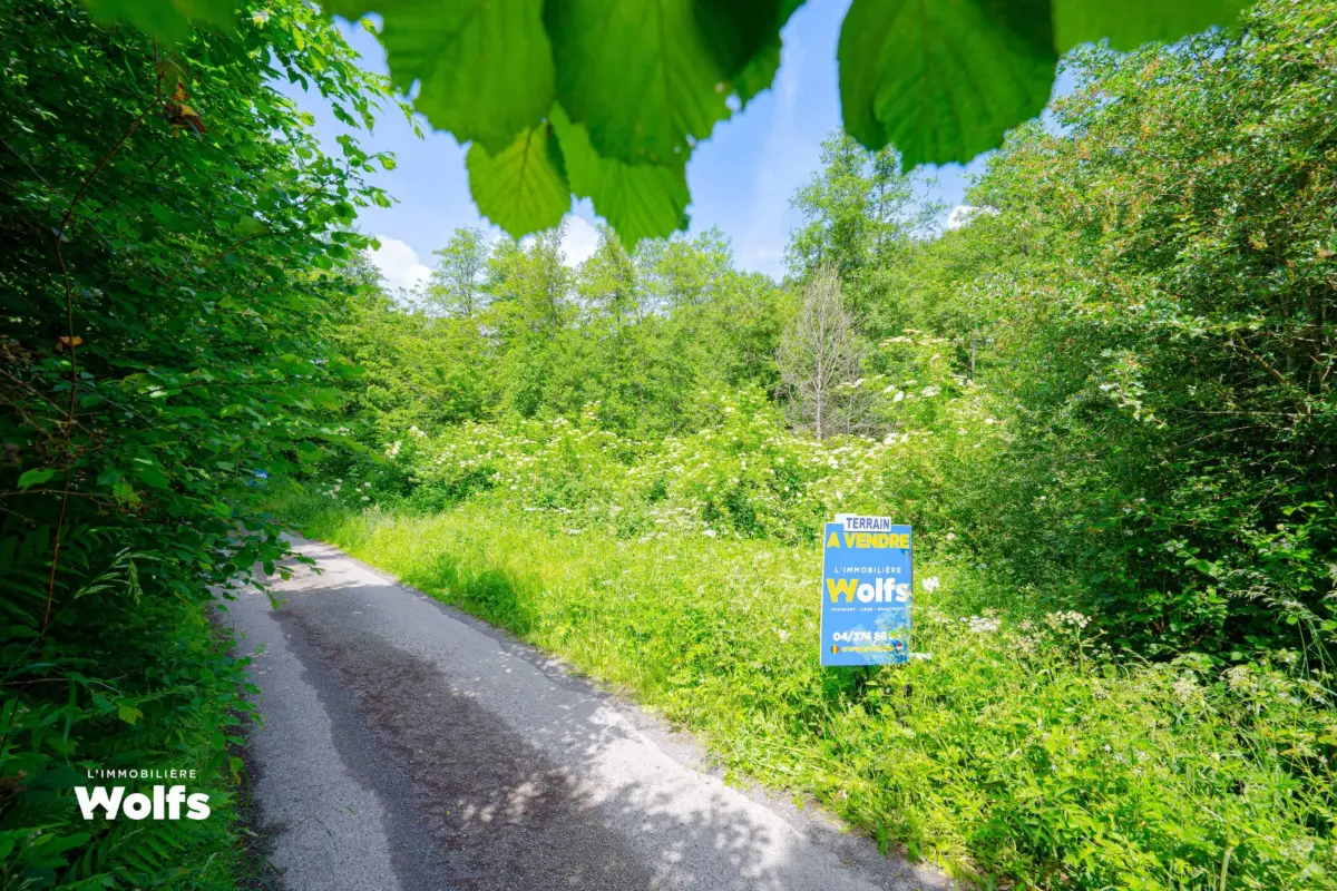 Terrain à vendre à Ferrières 4190 125000.00€  chambres m² - annonce 721119
