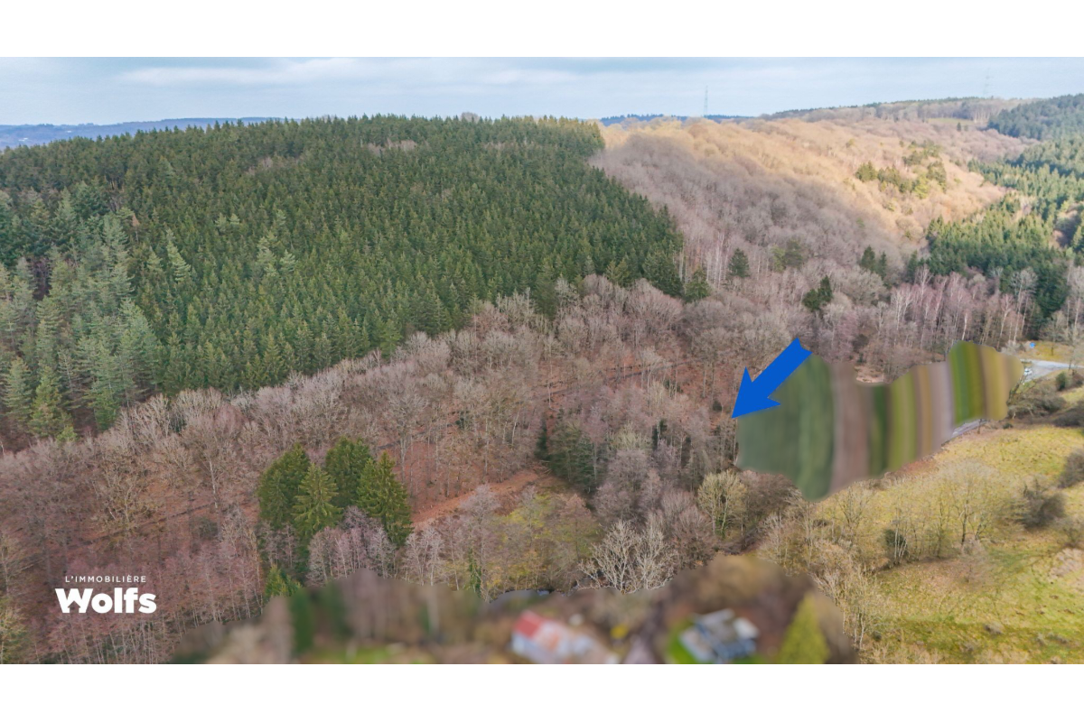 Terrain à vendre à Ferrières 4190 125000.00€  chambres m² - annonce 721119