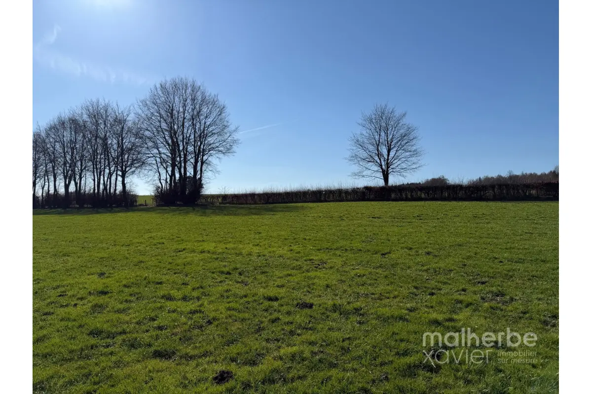 Terrain non bâtissable à vendre à Waimes 4950 168445.00€  chambres m² - annonce 723168