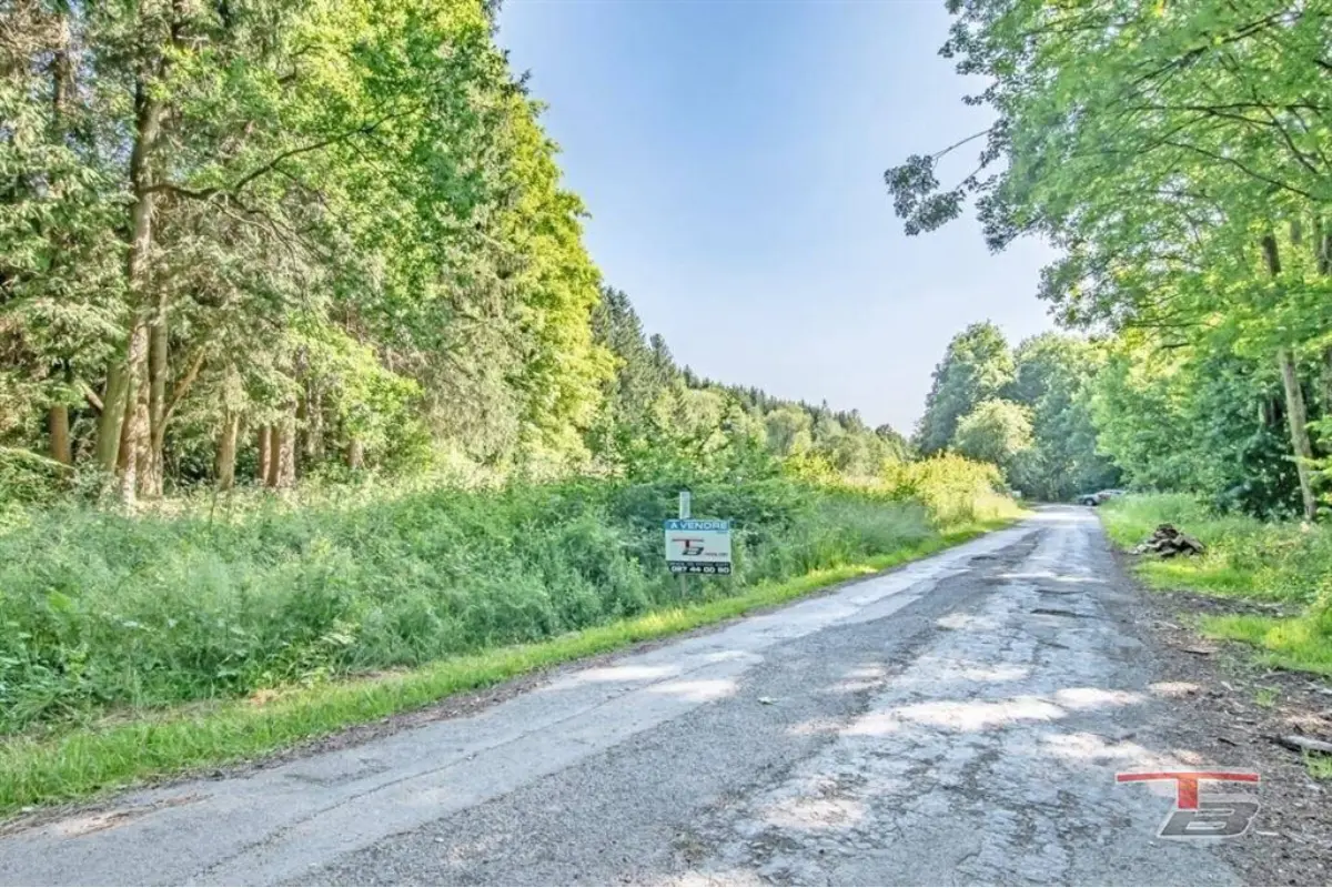 Terrain à bâtir à vendre à Chevron 4987 140000.00€  chambres m² - annonce 732303