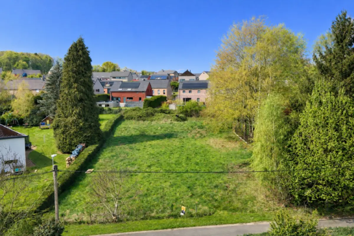 Terrain à vendre à Saive 4671 125000.00€  chambres m² - annonce 739784