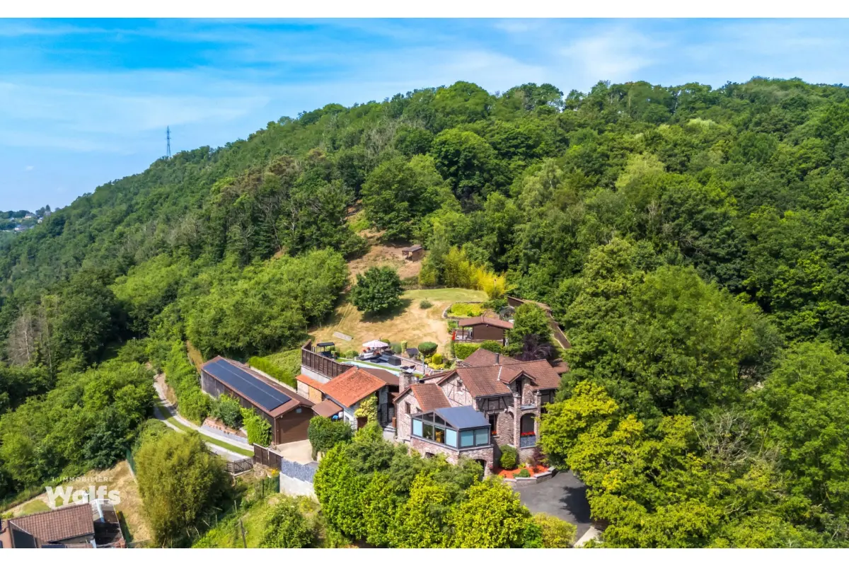 Maison à vendre à Andrimont 4821 990000.00€ 4 chambres 185.00m² - annonce 744850