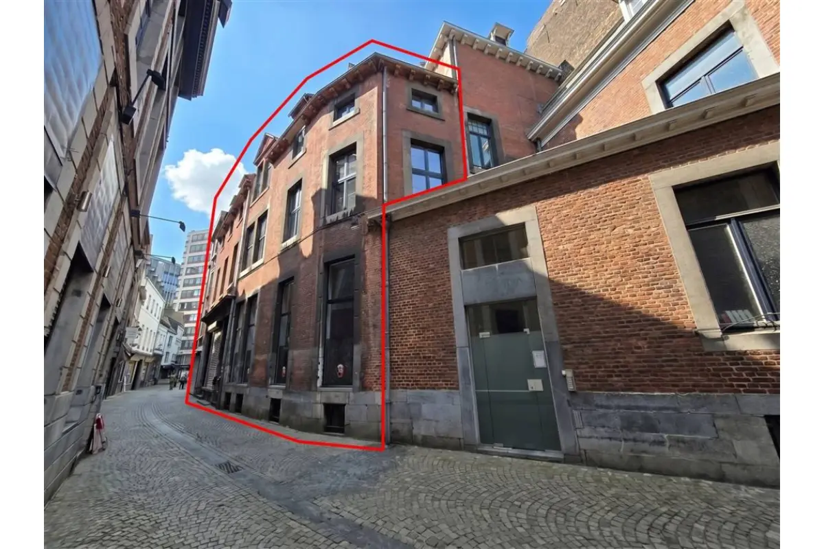 Immeuble de rapport - Immeuble à appartement à vendre à Liège 4000 675000.00€ 3 chambres 479.00m² - annonce 759368