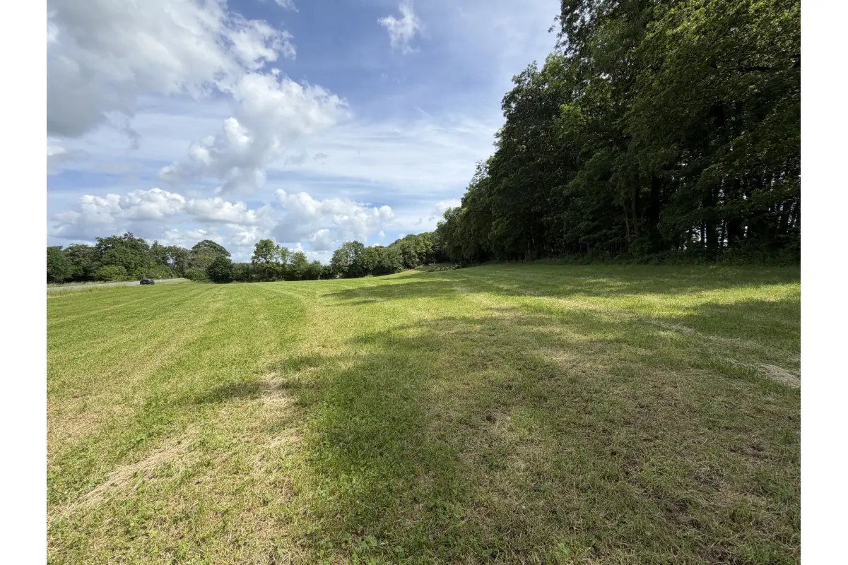Terrain à vendre à Ferrières 4190 55000.00€  chambres m² - annonce 779108