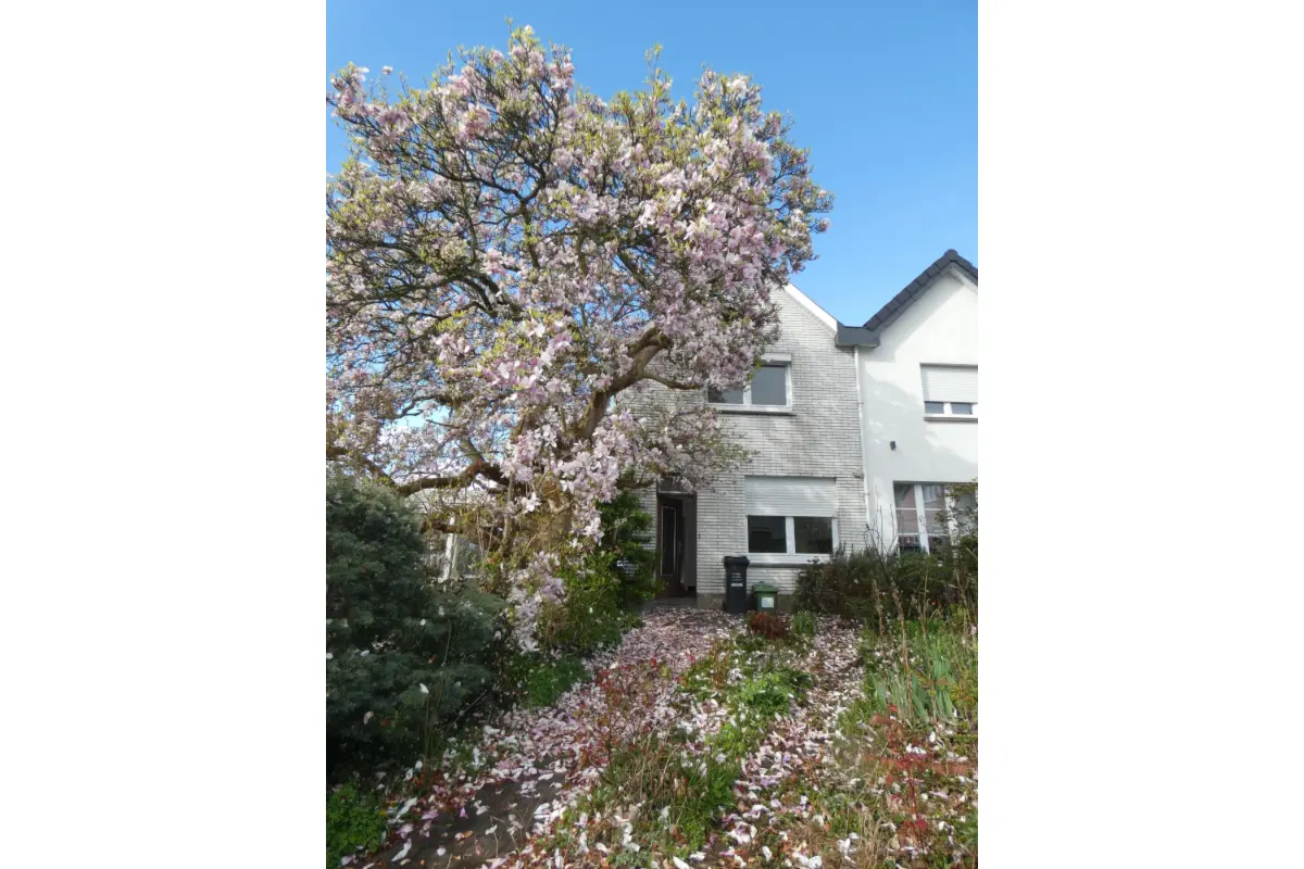 Maison à vendre à Ougrée 4102 175000.00€ 3 chambres 377.00m² - annonce 779265