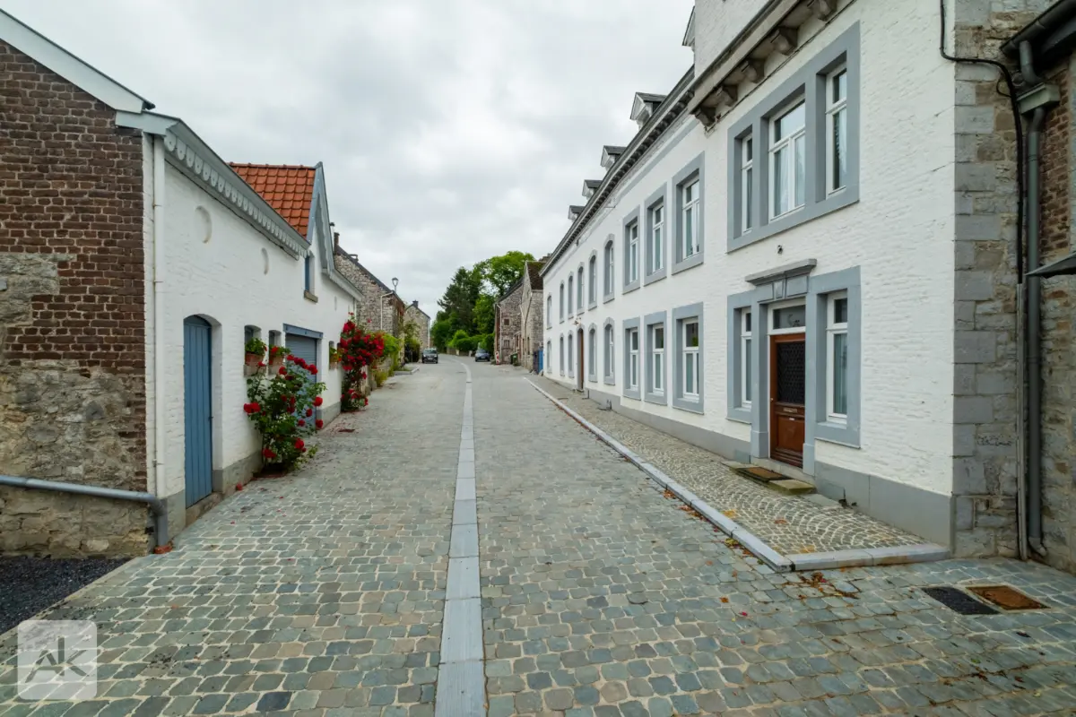 Maison à  à Olne 4877 1250000.00€ 7 chambres 815.00m² - annonce 781223