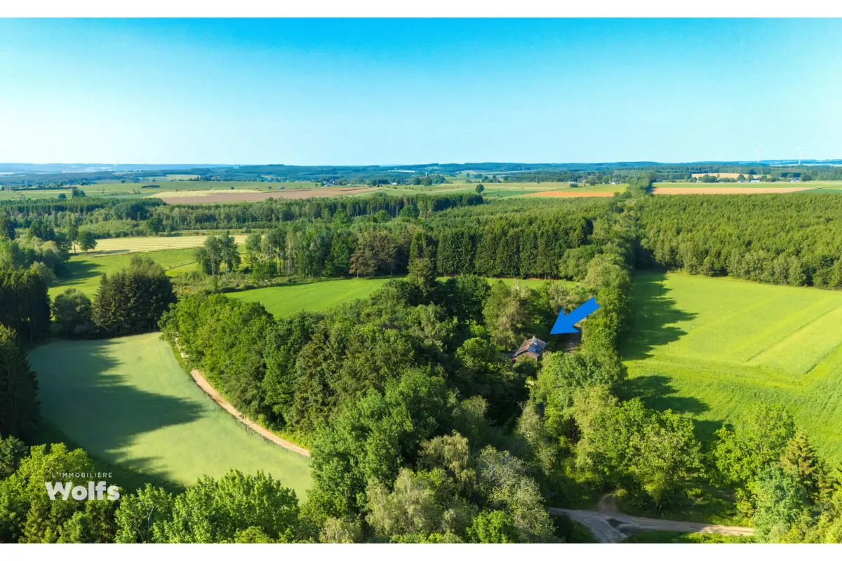 Maison à  à Tavigny 6662 345000.00€ 3 chambres 149.00m² - annonce 788557