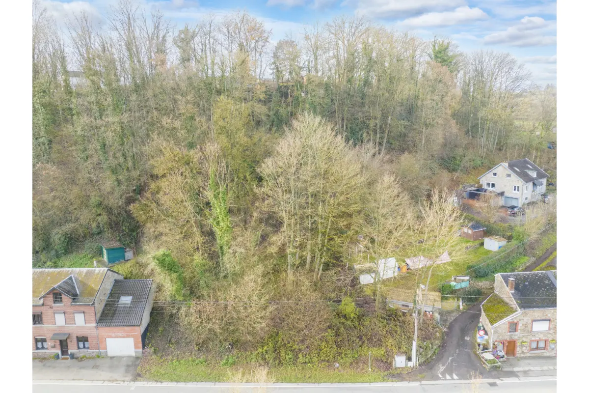 Terrain à vendre à Aywaille 4920 55000.00€  chambres m² - annonce 790152